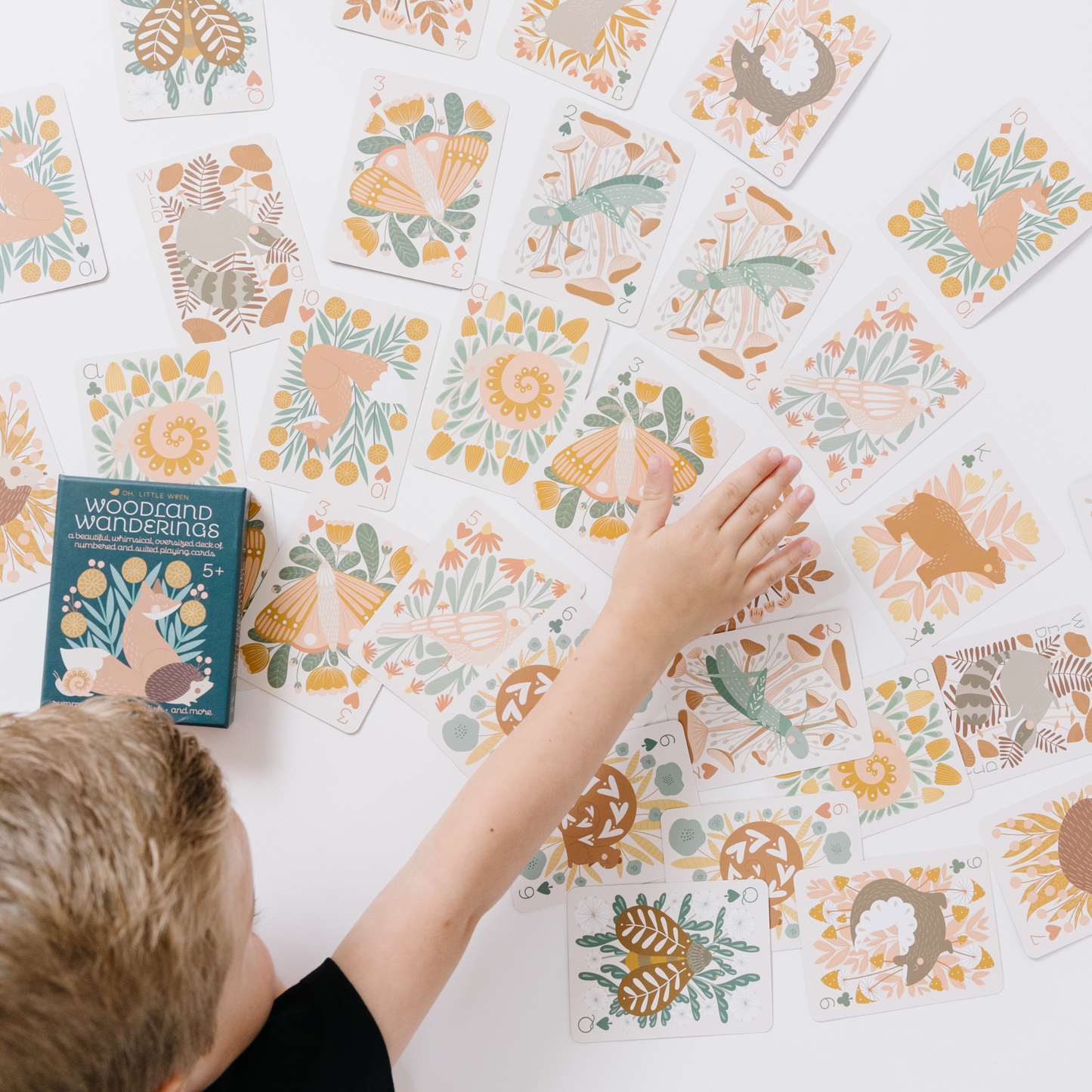 forest animal themed playing cards are spread out on a white background with the box placed off to one side. a child reaches out to grab a card.